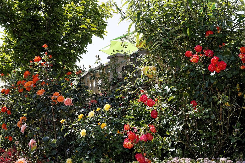 Hotel Garni Regina Goessweinstein Eksteriør bilde